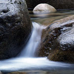 Vasona Creek Environmental Restoration