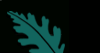 continues with dark green illustration of the West Valley Oak Leaf logo