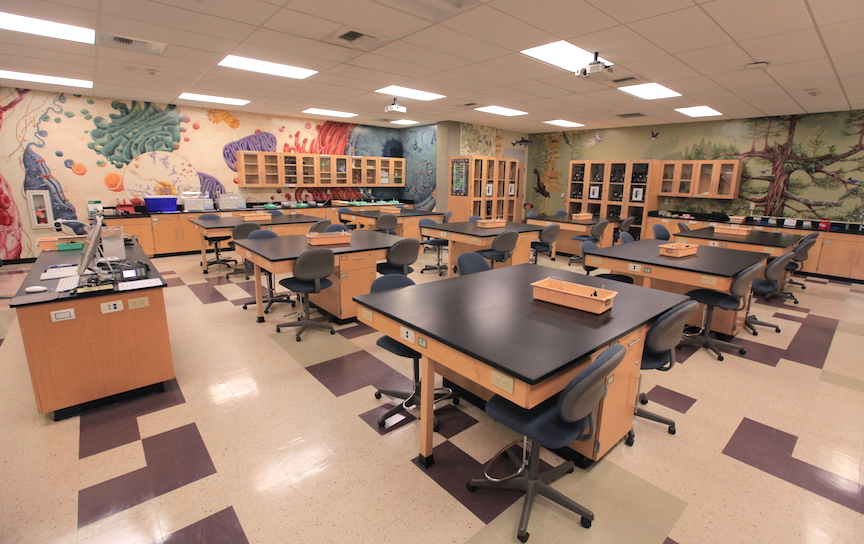 Science and Math Renovation - SM31