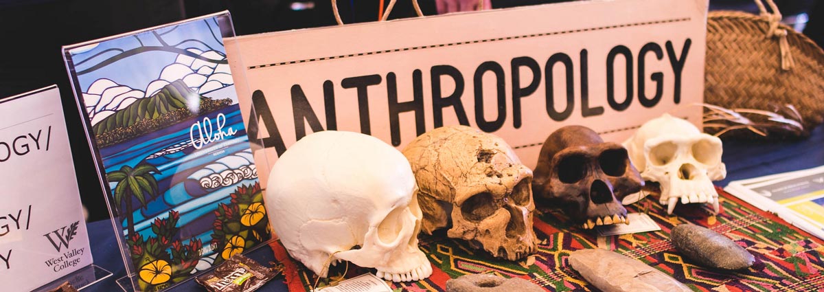 Anthropology banner with skulls on table during Open House Anthropology banner with skulls on table during Open House