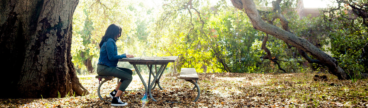 Student studying under large tree