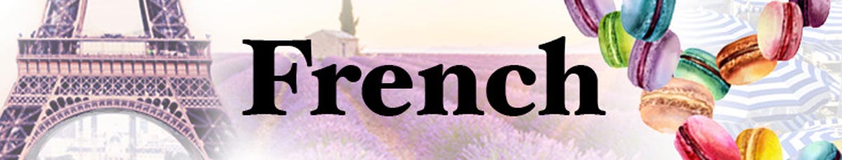 French banner French banner