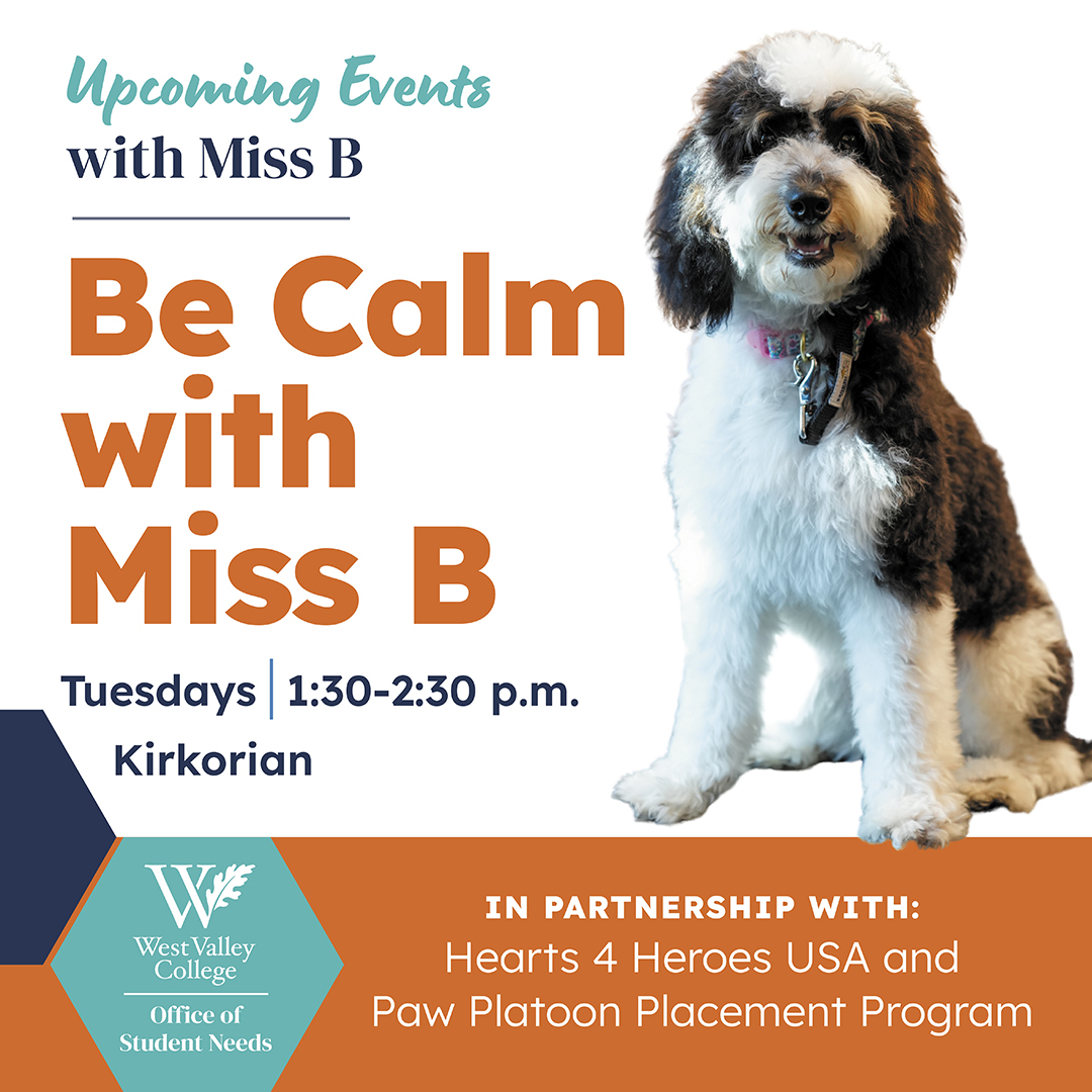 be calm with miss b