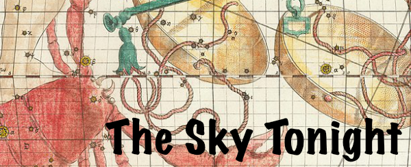 Vintage star map with animal constellations and 'The Sky Tonight' text