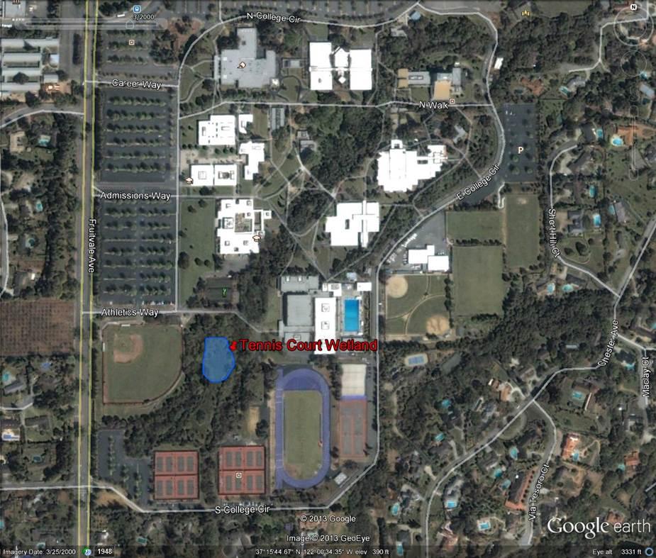 Wetland Project area