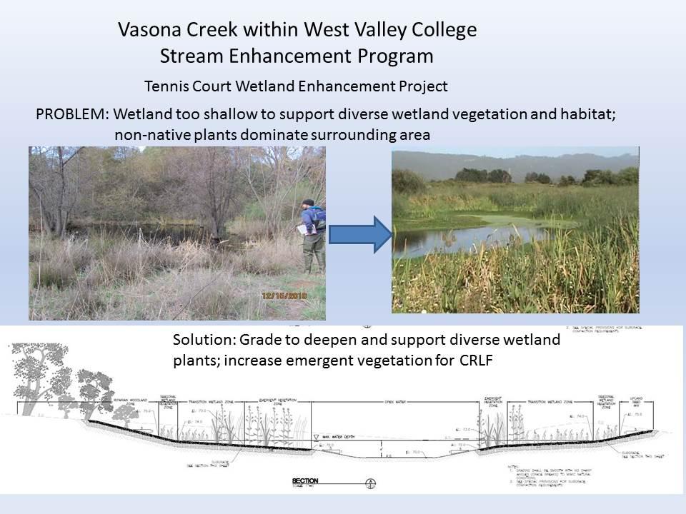 Wetland Project