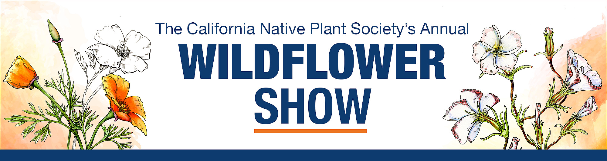 Wildflower Show hero