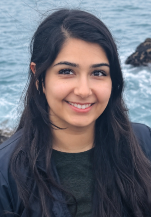 Bahar Meshkat