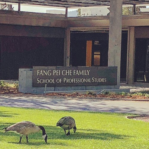 Two geese in front of the Che building