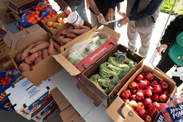 Food at Farmers Market