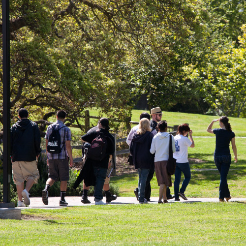 Students on group tour walking through campus