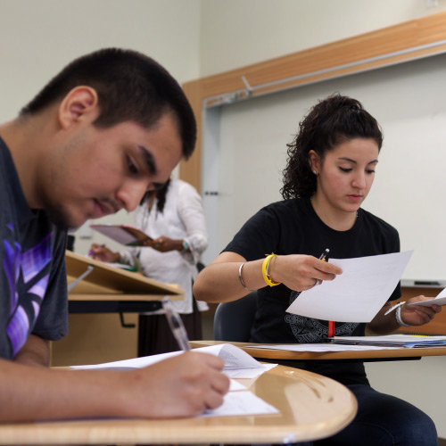 Students working on group project