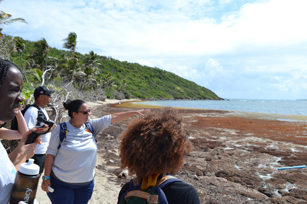 Service Learning students along Puerto Rican coast