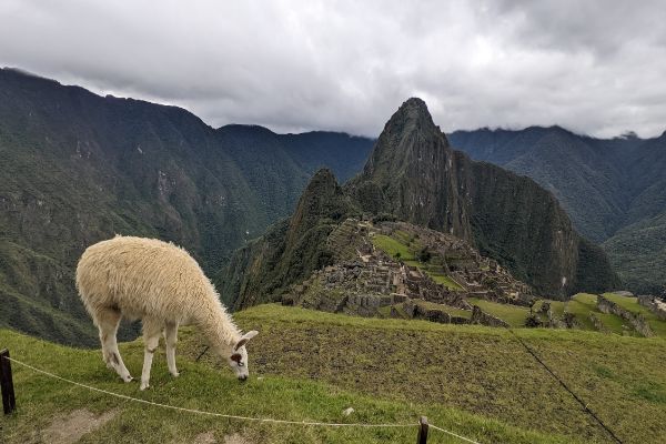 Machu Picchu