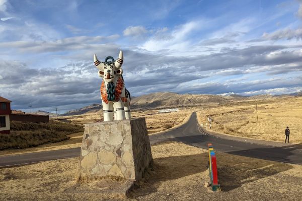 Puno bull